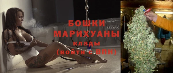 дживик Белокуриха