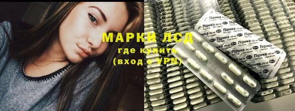 гашик Богородск