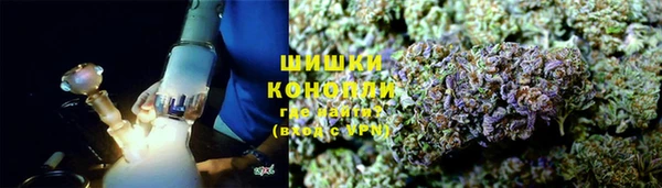 гашик Богородск