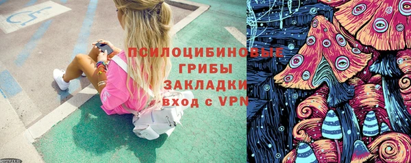 гашик Богородск